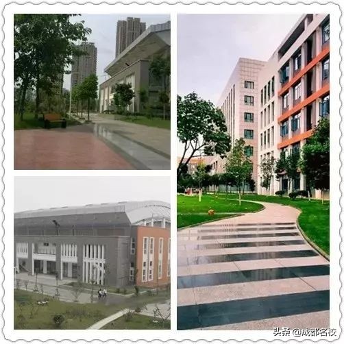 成都四七九中考录取分数线,2021成都四七九中考录取分数线