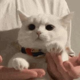 感动表情包图片大全微信,微信小脸谱表情包大全