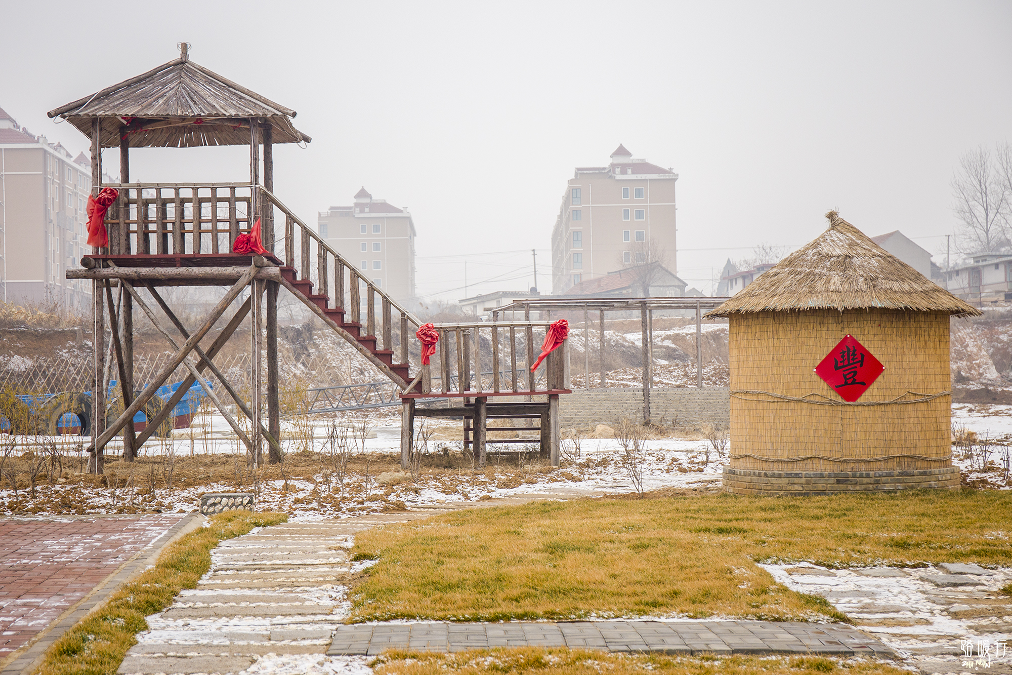 野生牡蛎王,海边野生牡蛎