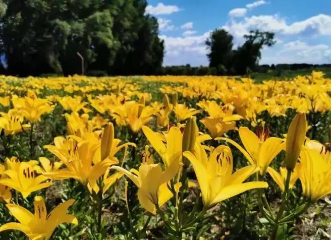 北京延庆必去的十大景点十渡,北京延庆周边五一旅游攻略自由行