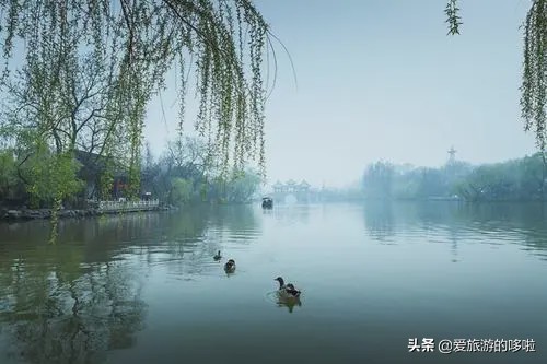 比杭州好的城市,比杭州好玩的地方