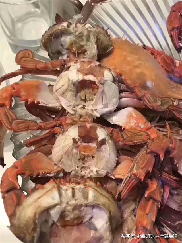 魂牵梦绕的绿色净土，真的美翻了，东戴河德福缘农家院