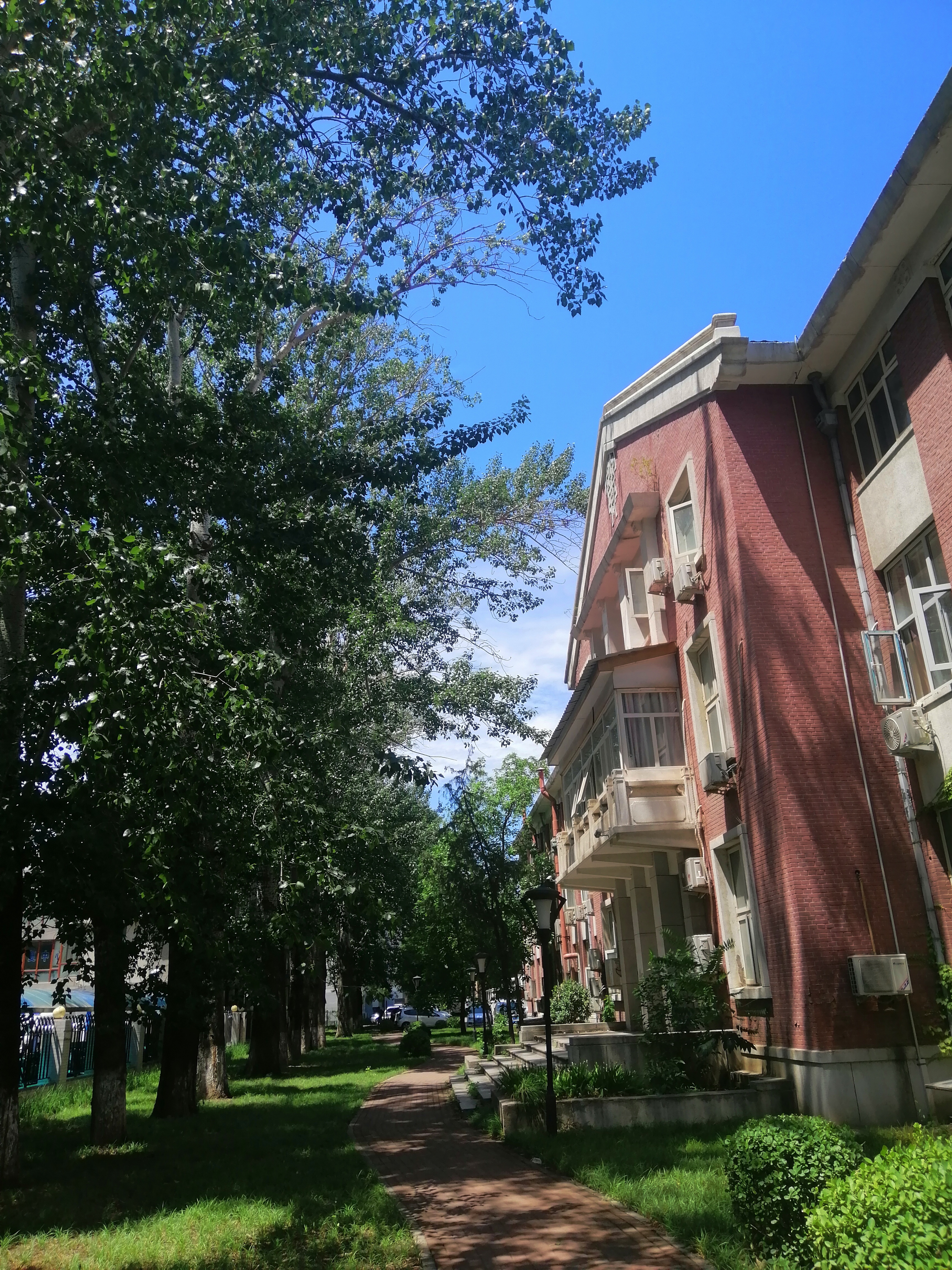 北医三院病理科,北京大学第三医院病理报告时间