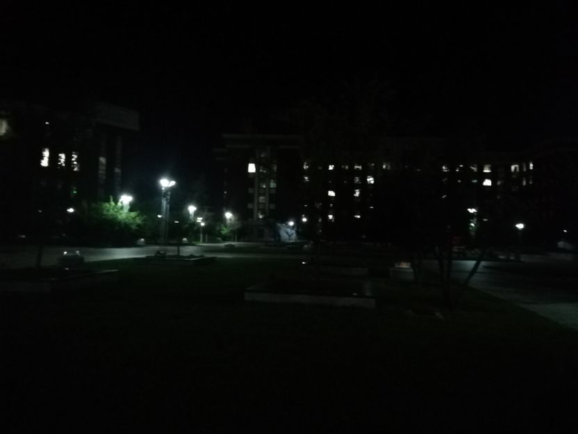 当代大学生的小狗,当代大学生的狗市