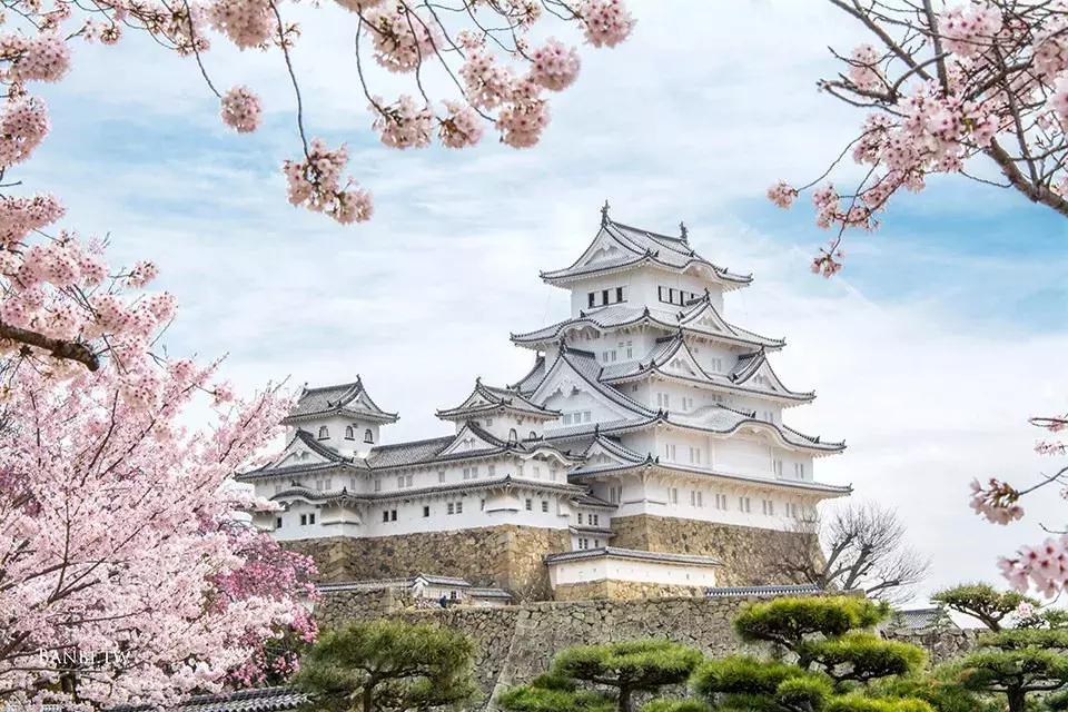 日本奇葩冷知识个个惊到你,10个让人震惊的冷知识