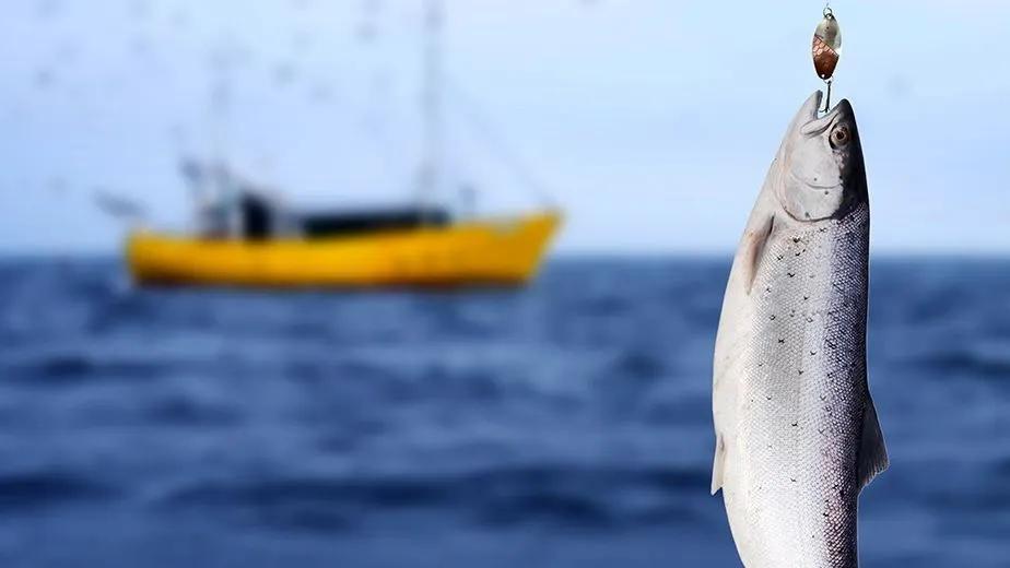 列岛之枸杞岛旅游攻略,嵊山岛枸杞岛旅游攻略