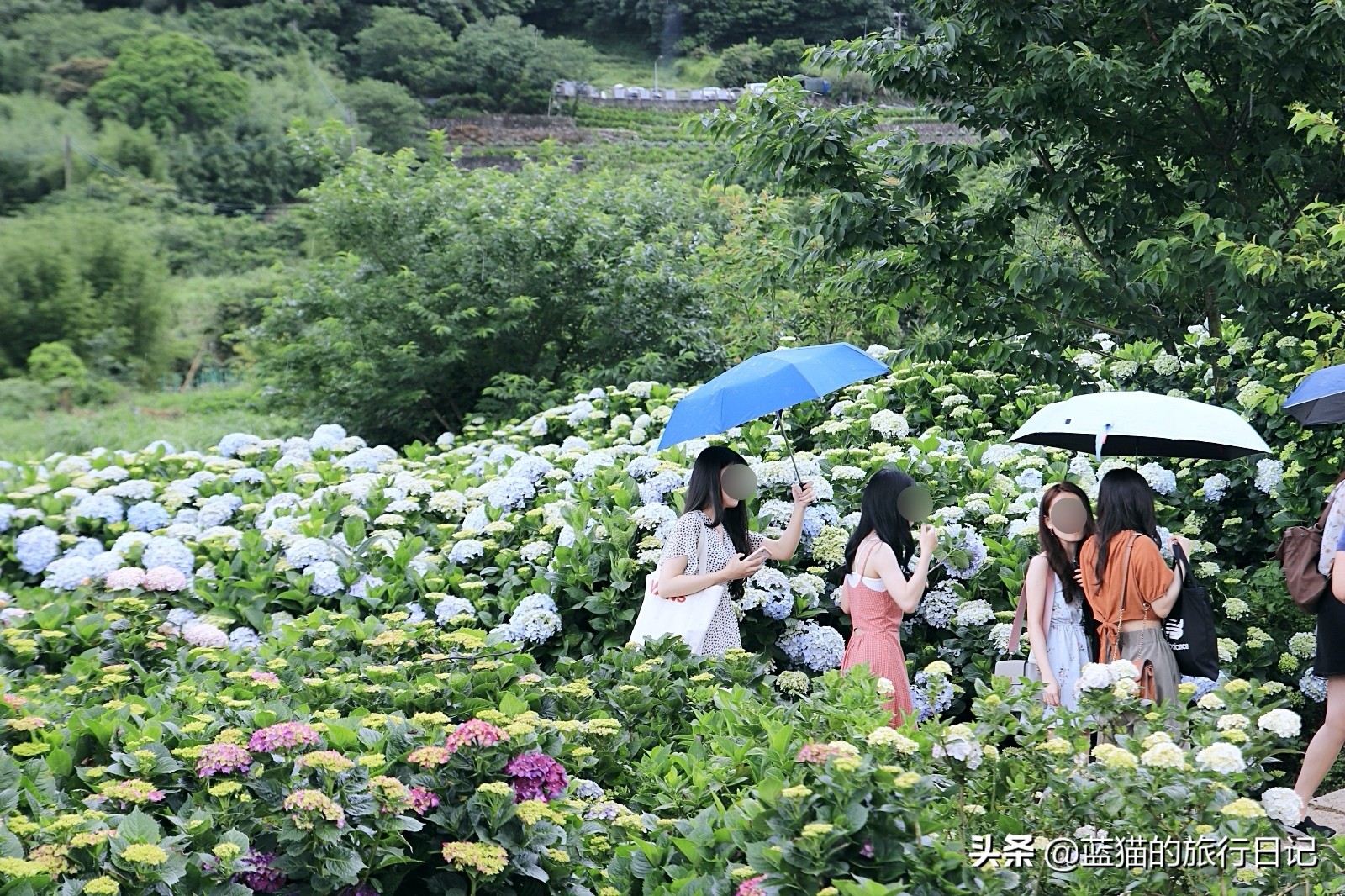 520最浪漫的旅游地,520浪漫出游地