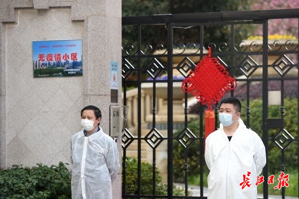 防疫社区招募党员志愿者,党员志愿服务招募令