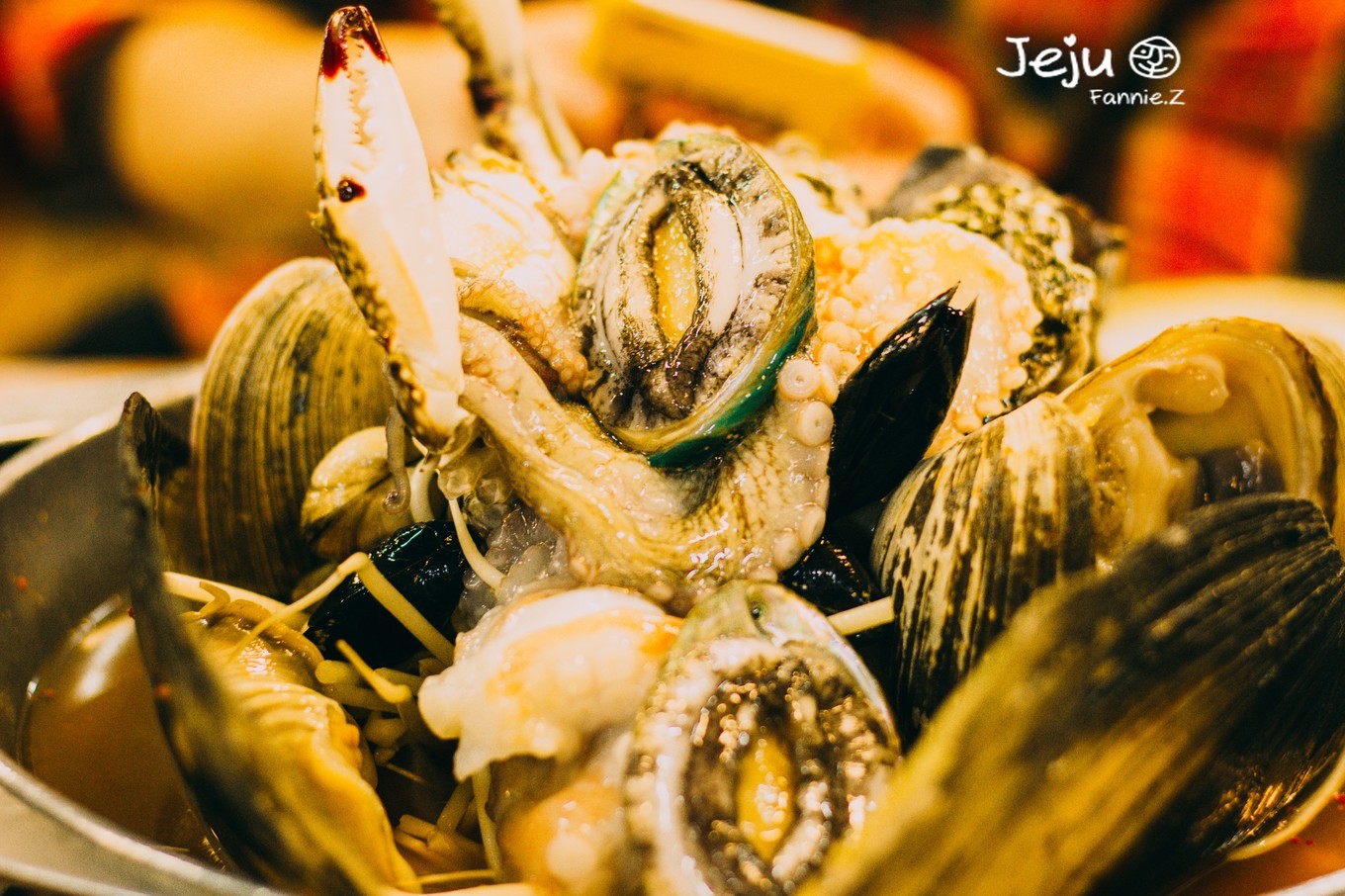 #嗨buy新罗#冬日,济州岛!想大声说遇见你有多幸运