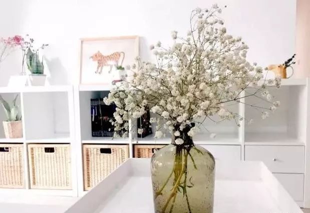 插花花材的固定技巧,三种花材插花教程新手入门