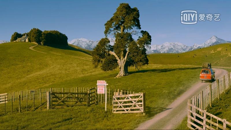 9部日本治愈系纯爱电影推荐,一部让你感动落泪的纯爱电影