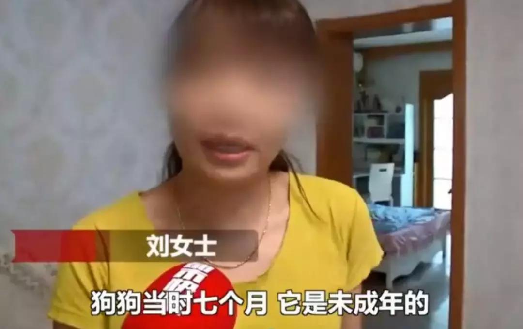 备孕家里的毛孩子怎么办,毛孩子发情期注意事项