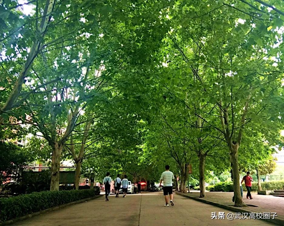 全武汉只有这所大学校门上跑火车，以前嫌弃现在却又舍不得