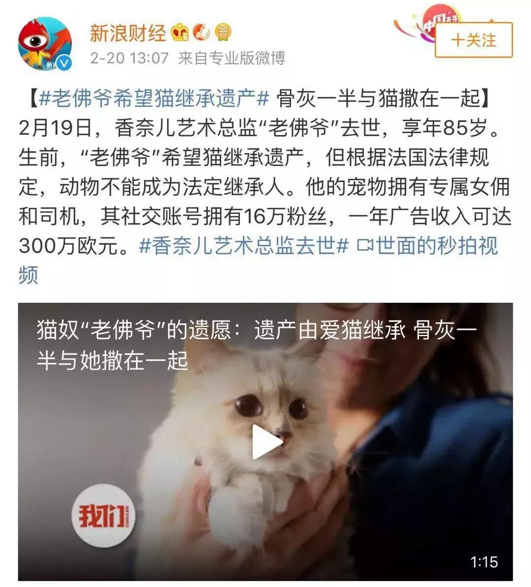 老佛爷的猫继承多少遗产,老佛爷去世了猫继承了多少遗产