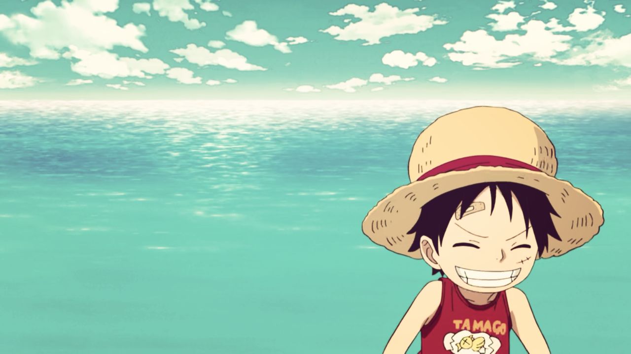 还记得海盗帽吗,草帽海贼团所有成员合照