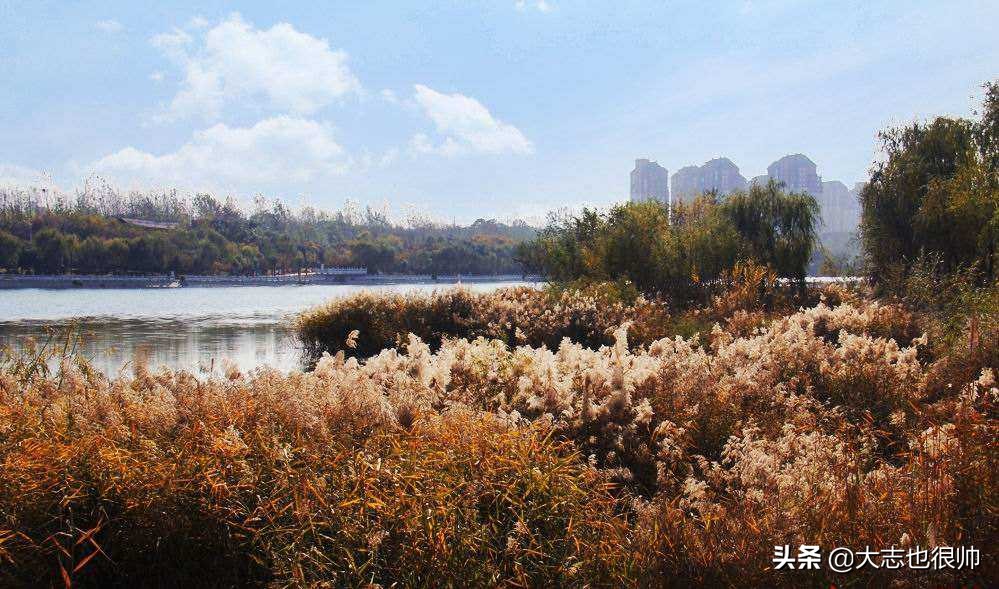 舌尖上的河南鹤壁美食,鹤壁最美味美食