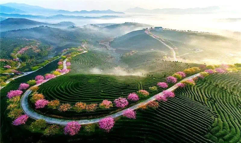 花小钱的妙招,花小钱过生活方法