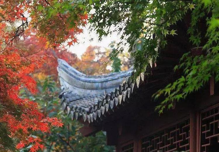 繁华喧闹的老街,繁华古镇老街