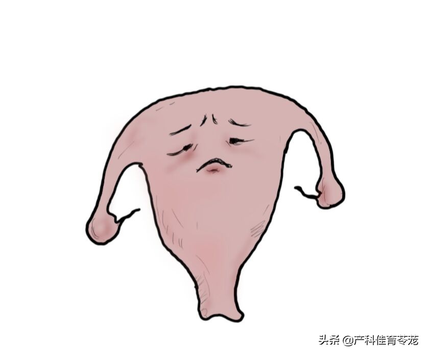 月经量少一定是雌激素低吗,月经量越来越少是卵巢功能衰退吗