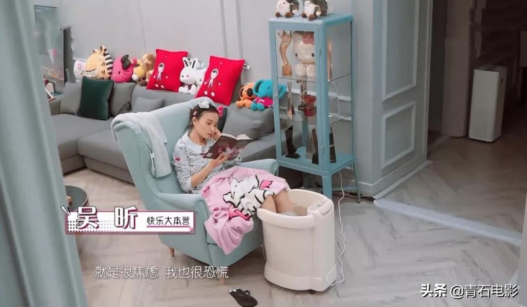 王鸥龙丹妮综艺节目,龙丹妮和维嘉现在关系