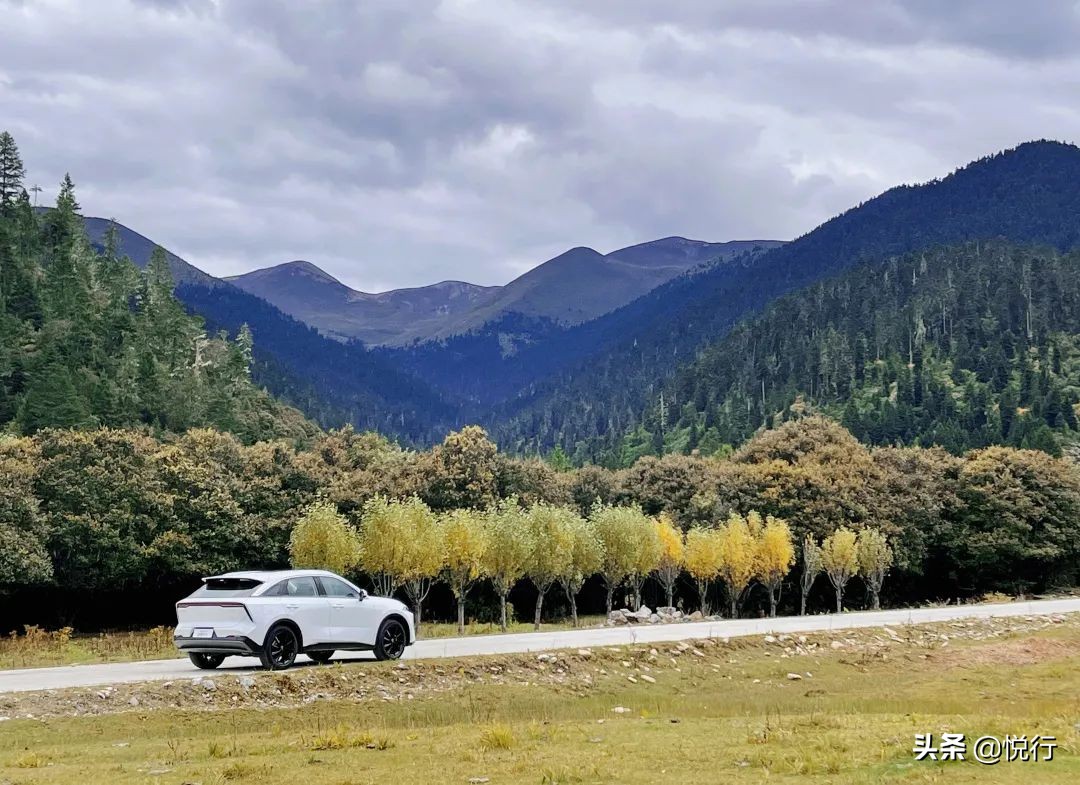 东风日产启辰大v最高跑多快,东风日产启辰大v用车知识