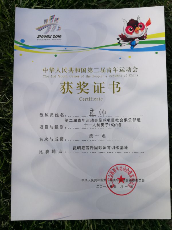 河南足球u21决赛,第二届中国青少年足球联赛u15冠军