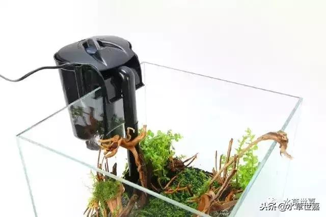 30cm小缸青龙石造景大全,30cm长缸原生溪流缸造景