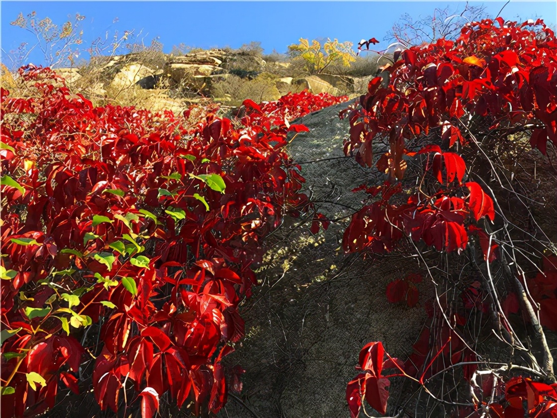 青龙峡风景区秋景,欣赏青龙湖美景