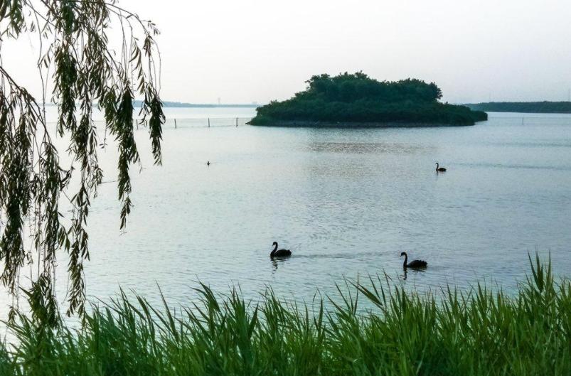 天津三大湖风景区,天津三大湖不能买吗