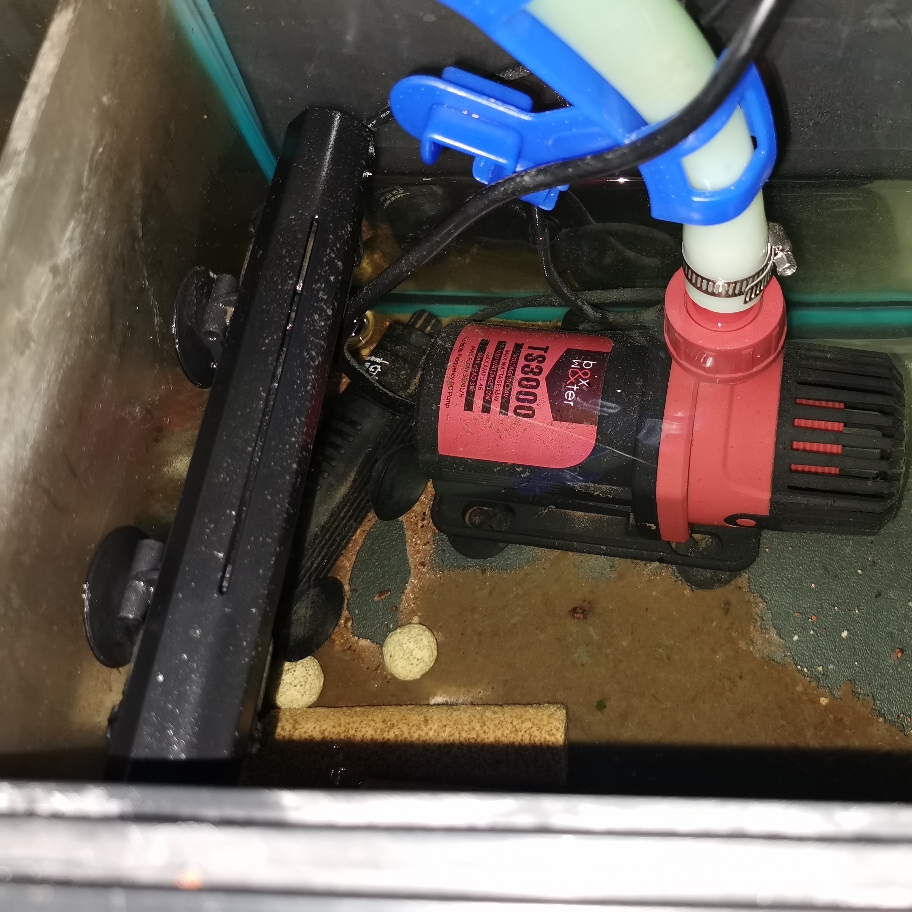 新买的鱼缸需要怎么处理再入缸,新鱼缸到家怎么处理