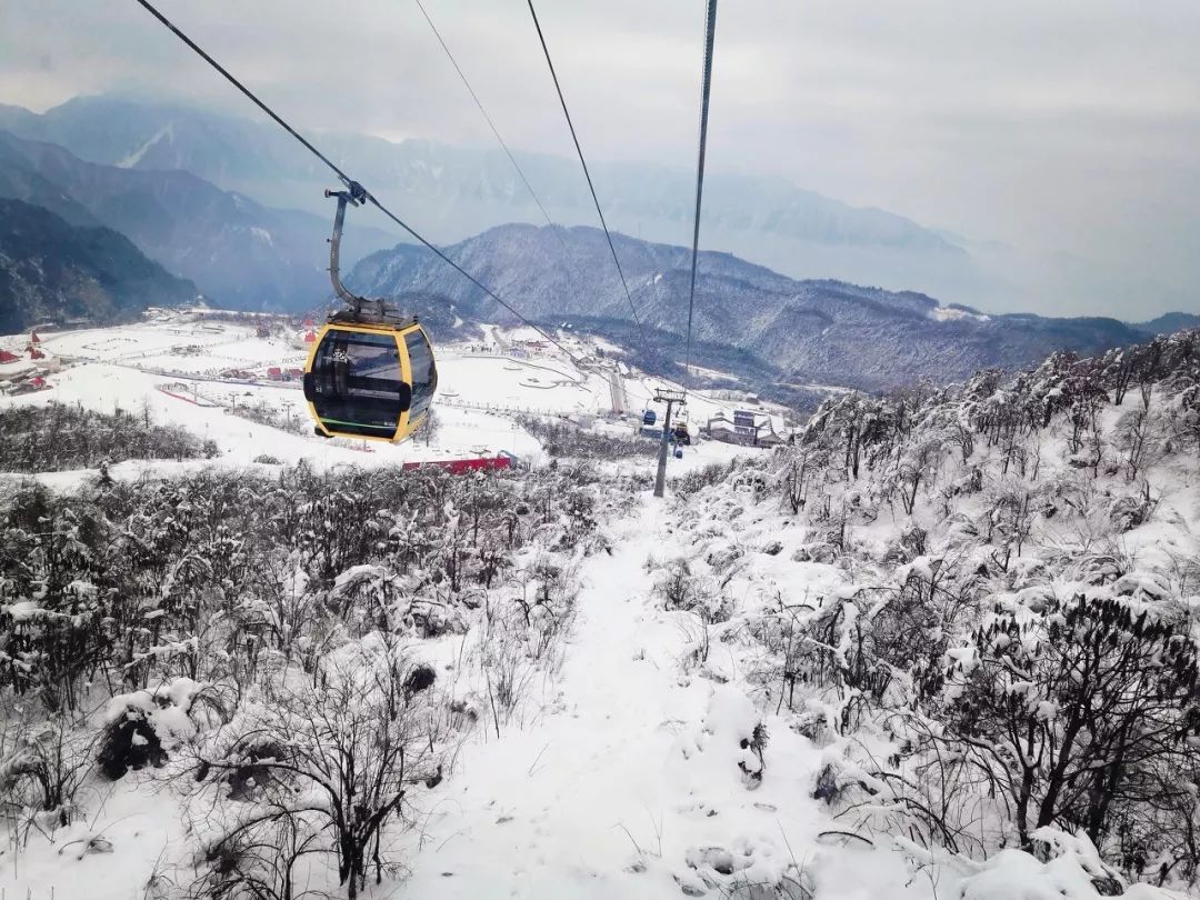 一日游重庆火锅去哪吃,旅行火锅吃法大全