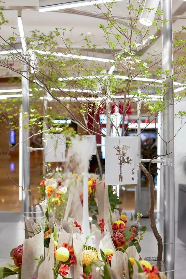 与花为伴，在这些魔都花店，邂逅另一个春天！