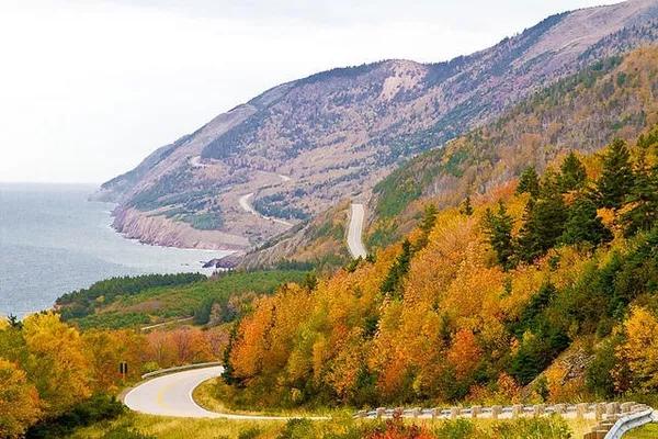 加拿大旅游视频大全集,加拿大旅游攻略最详细