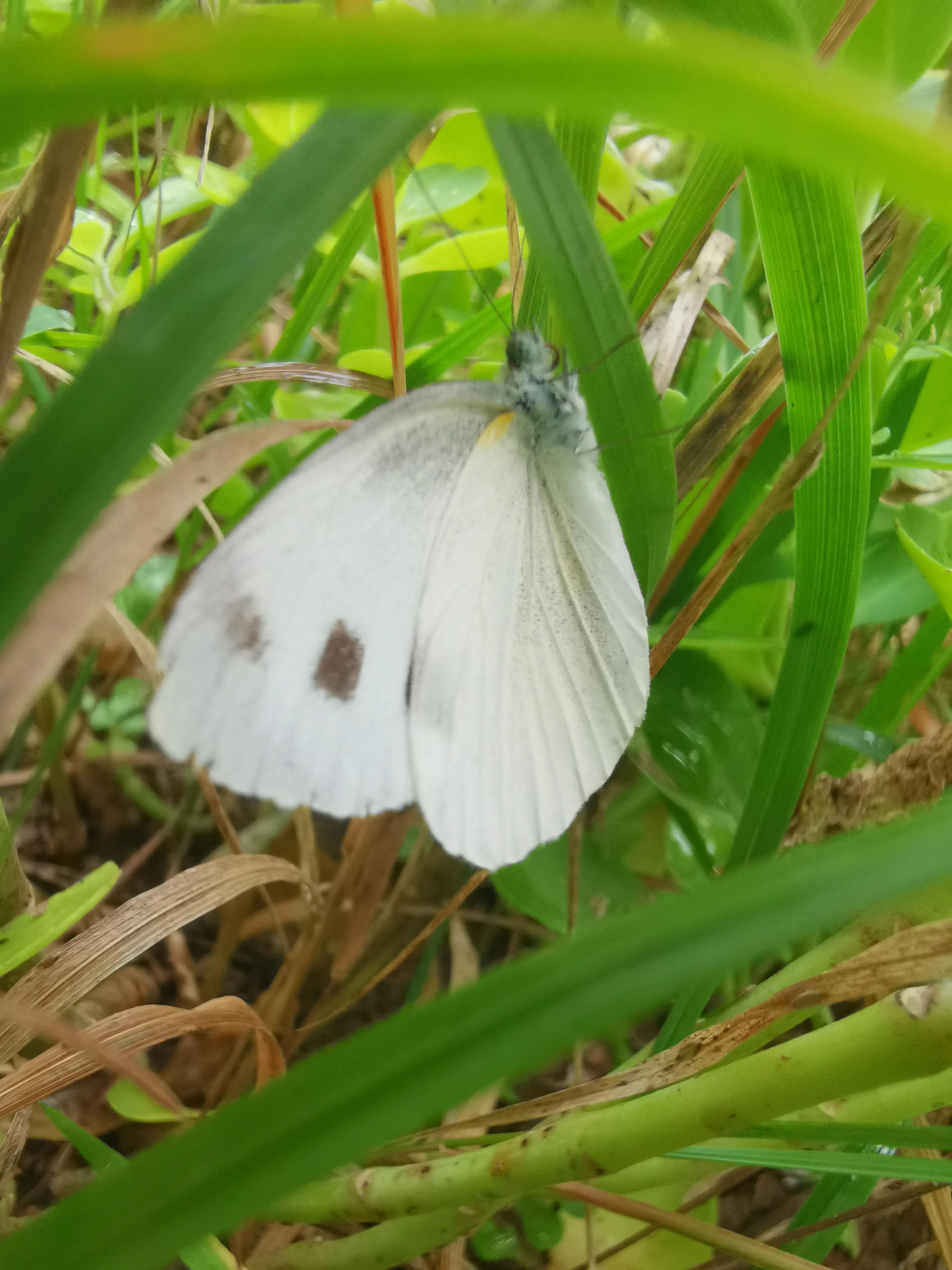 凤山温泉,北京金隅凤山温泉特色