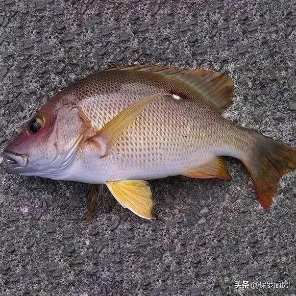 海鲜大荟萃,常见贝壳类海鲜