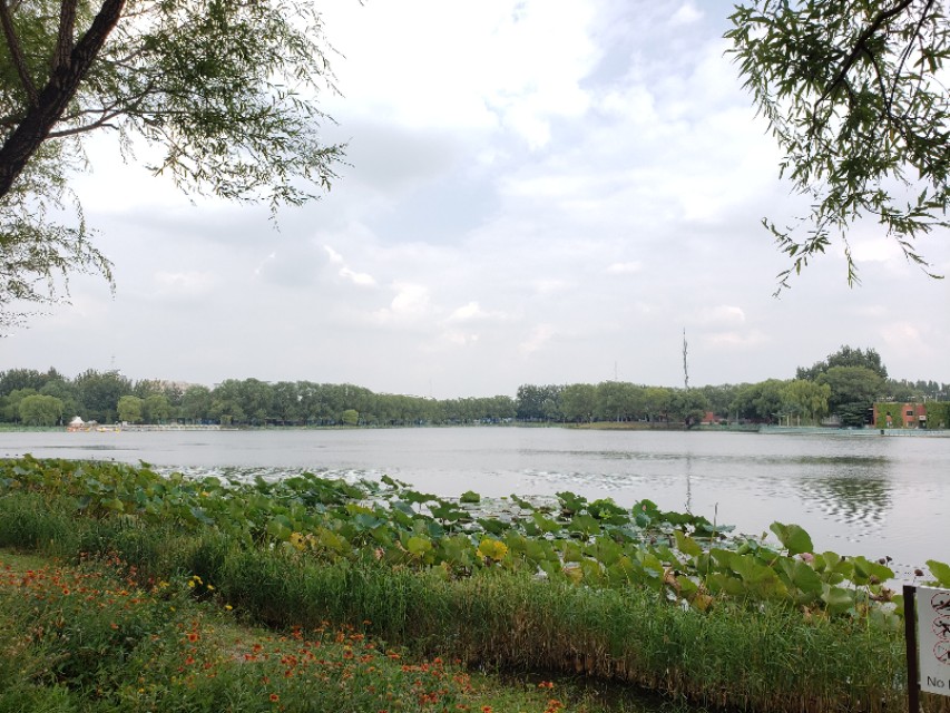 北京适合带娃遛狗的公园推荐,北京适合带娃溜达的公园