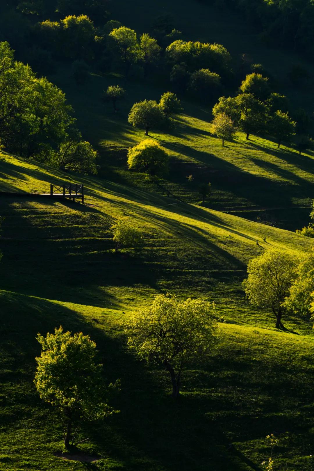 为什么宝鸡比西安更有“关中味儿”？