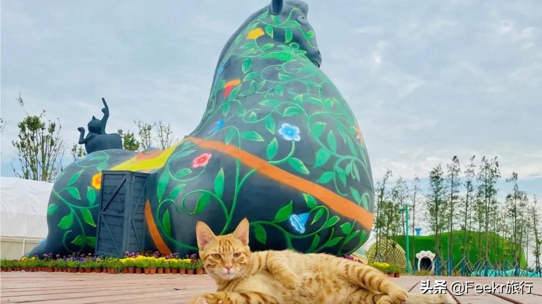 中国世界美食之都,中国世界美食之都排名