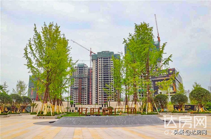 达州未来的模样,达州南城最新规划图