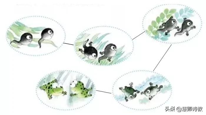 学霸语文分类整合测试卷二答案,学霸必刷卷二年级上册语文答案