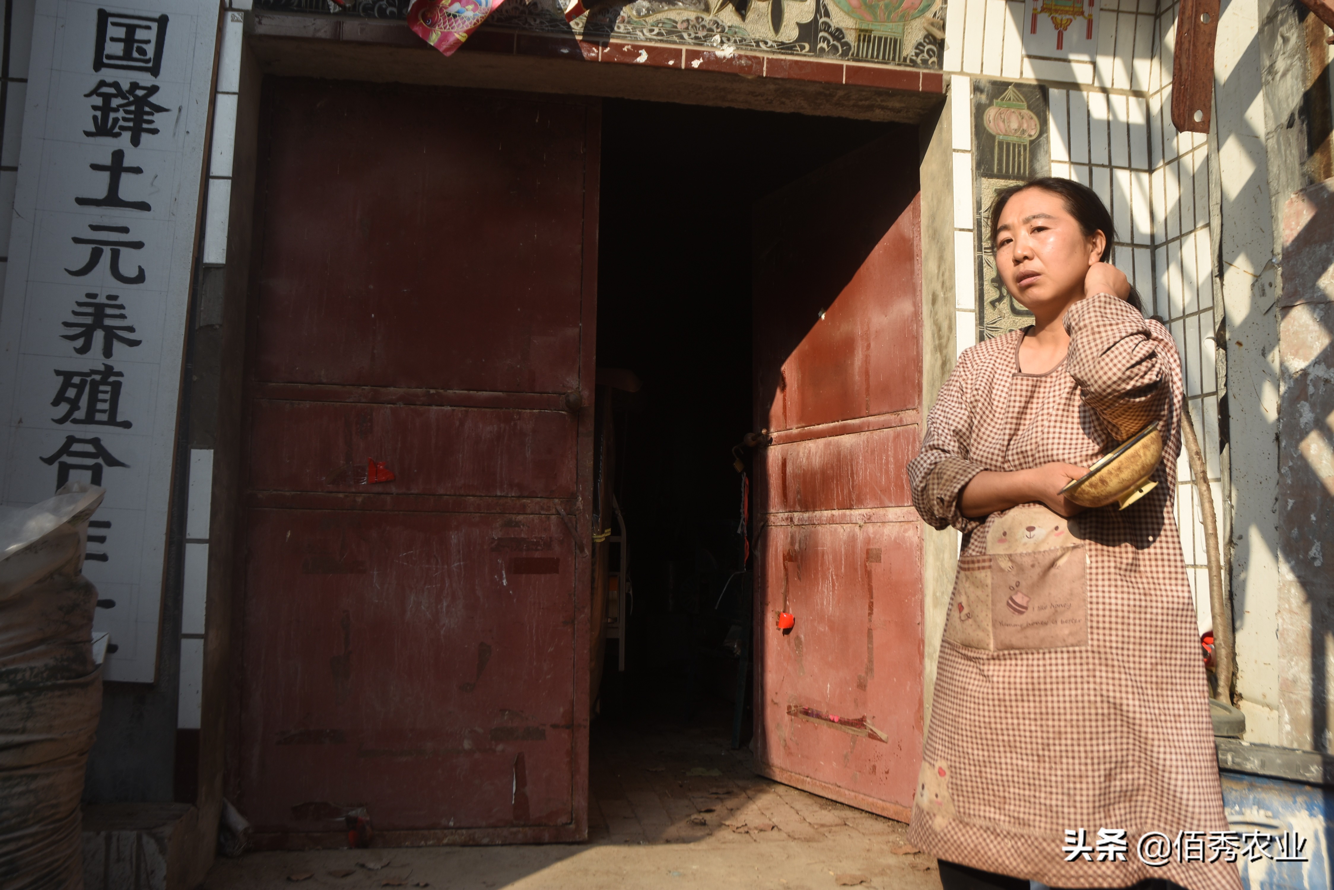 农村妇女不上班在家种地能赚多少,一个农村妇女在家能干什么好赚钱