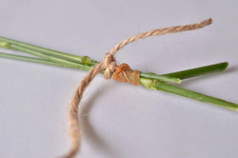制作干花最好的季节,自制干花什么方法比较好
