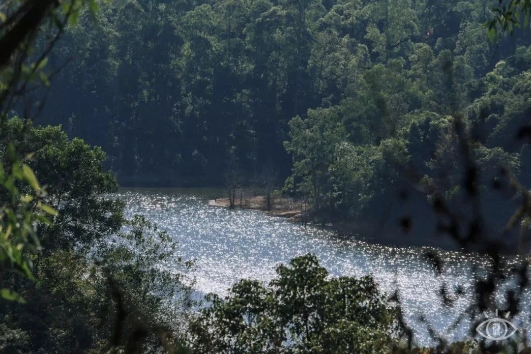 深圳游玩合集,深圳世界之窗游玩攻略必玩项目