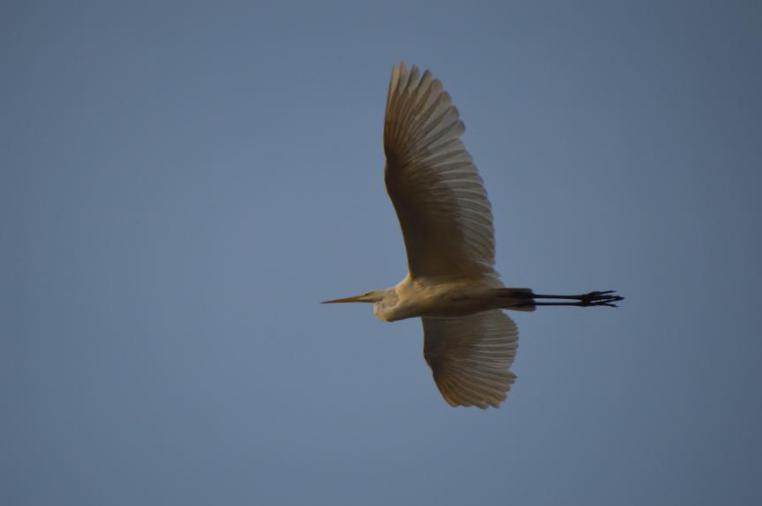 游览鲁迅公园的感悟,游玩鲁迅公园优秀作文