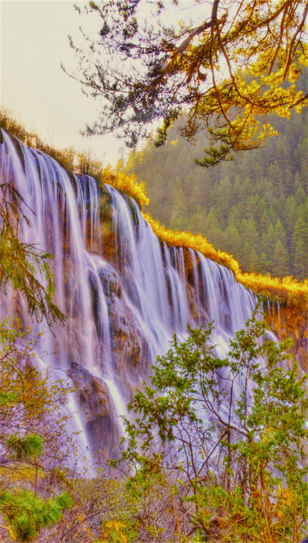 送你一张绝美壁纸,送你一张超美竖屏壁纸