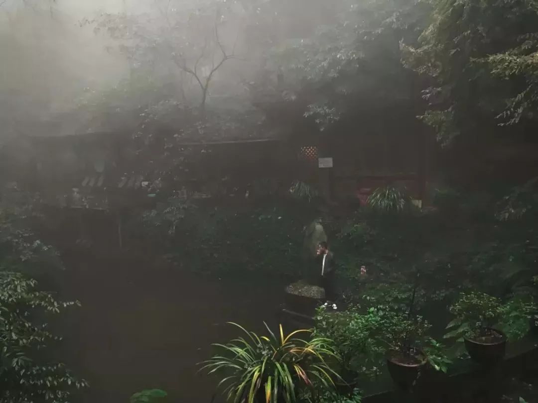 一家开在闹市里的茶馆,一家开在寺庙内的咖啡店