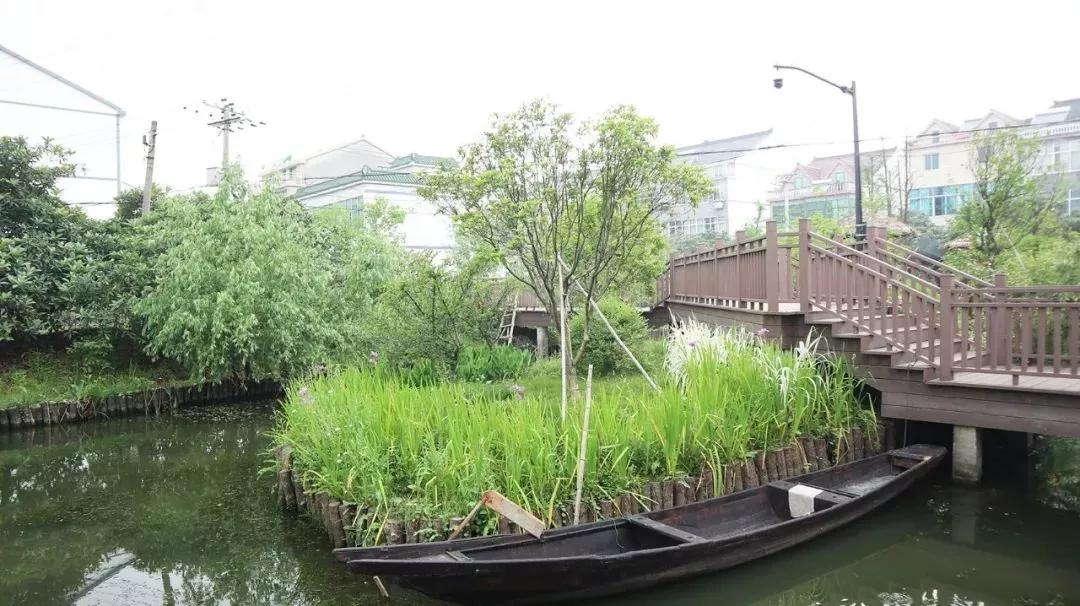 小编姐姐今天嗨翻了简直！接下来的半个月，你就交给塘栖和枇杷吧！