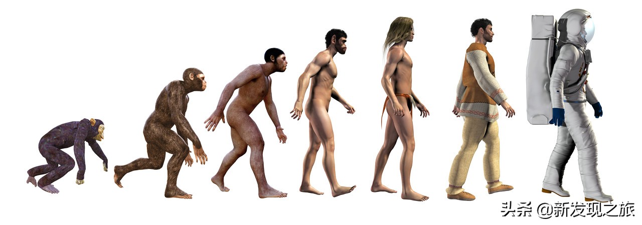 生物进化史最具代表的事件,生物进化史的意义