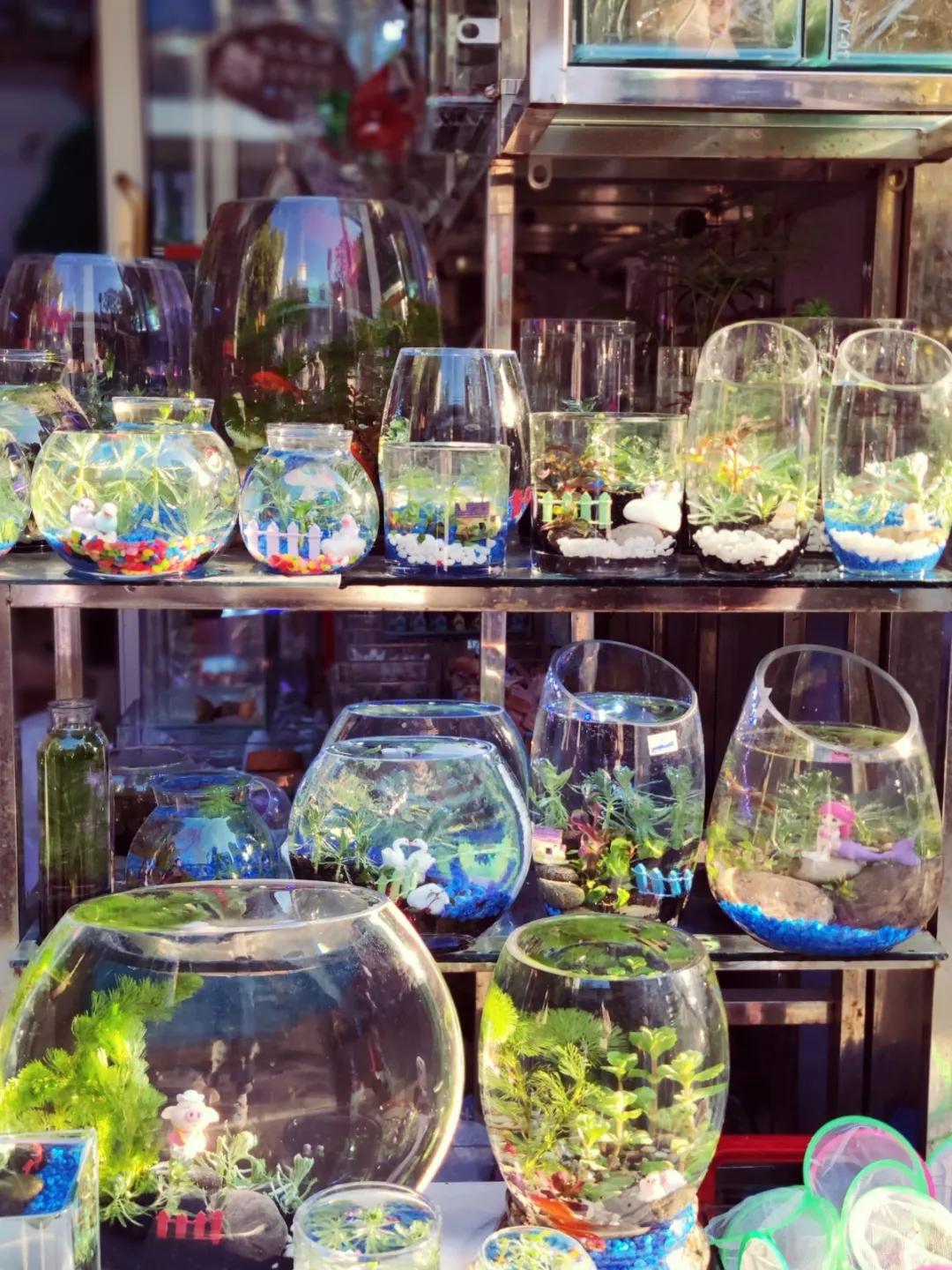 <html>
<head><title>502BadGateway</title></head>
<body>
<center><h1>502BadGateway</h1></center>
<hr><center>nginx</center>
</body>
</html>
<!--apaddingtodisableMSIEandChromefriendlyerrorpage-->
<!--apaddingtodisableMSIEandChromefriendlyerrorpage-->
<!--apaddingtodisableMSIEandChromefriendlyerrorpage-->
<!--apaddingtodisableMSIEandChromefriendlyerrorpage-->
<!--apaddingtodisableMSIEandChromefriendlyerrorpage-->
<!--apaddingtodisableMSIEandChromefriendlyerrorpage-->
