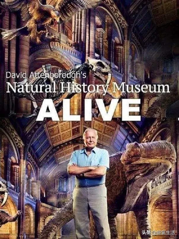 豆瓣评分9.0以上的剧集,豆瓣评分9.5以上的电影值得一看